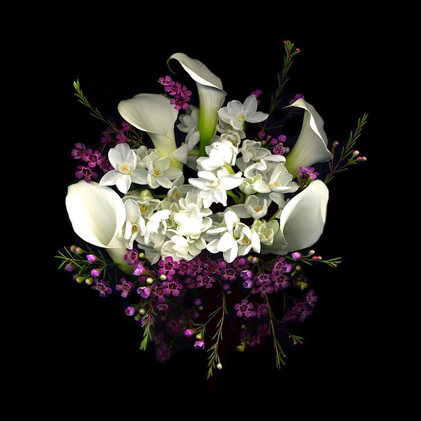 Paperwhites,Calla Lilies & Waxflowers copy