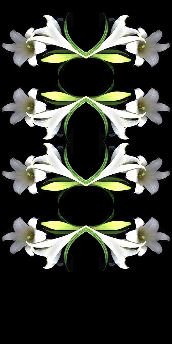 White Lily Pattern copy