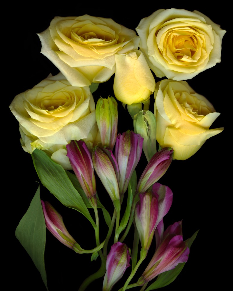 Yellow Roses & Alstromeria. jpg