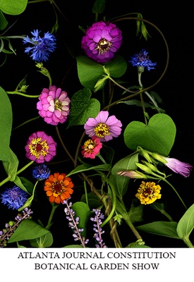 AJC ATLANTA BOTANICAL GARDEN SHOW