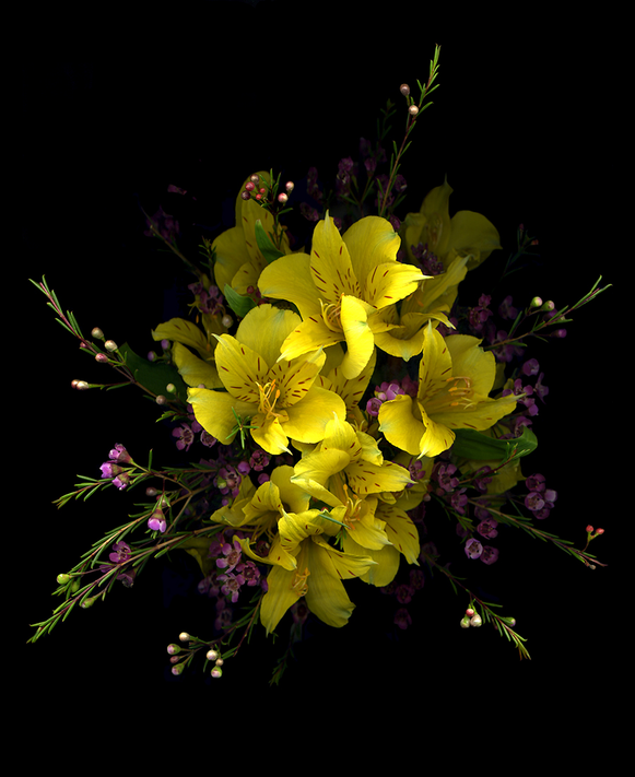 ALSTROMERIA & WAXFLOWERS 