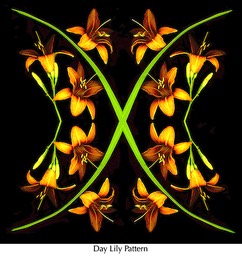 Day Lily Pattern  