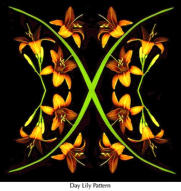 Day Lily Pattern  