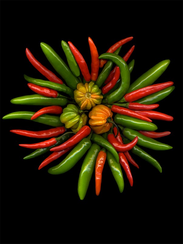 HOT PEPPERS #1