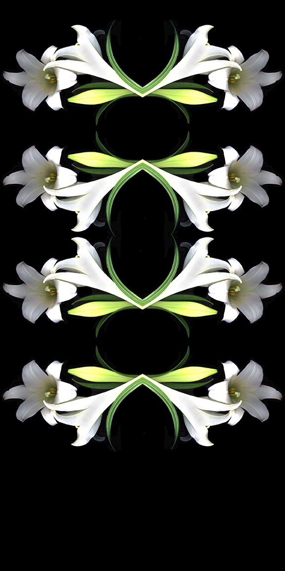 White Lily Pattern copy