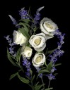 WHITE ROSES AND SALVIA