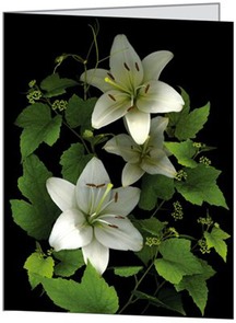 WHITE LILIES FOLD OVER CARD