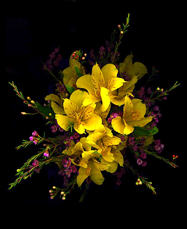 Yellow Alstromeria & Waxflower copy