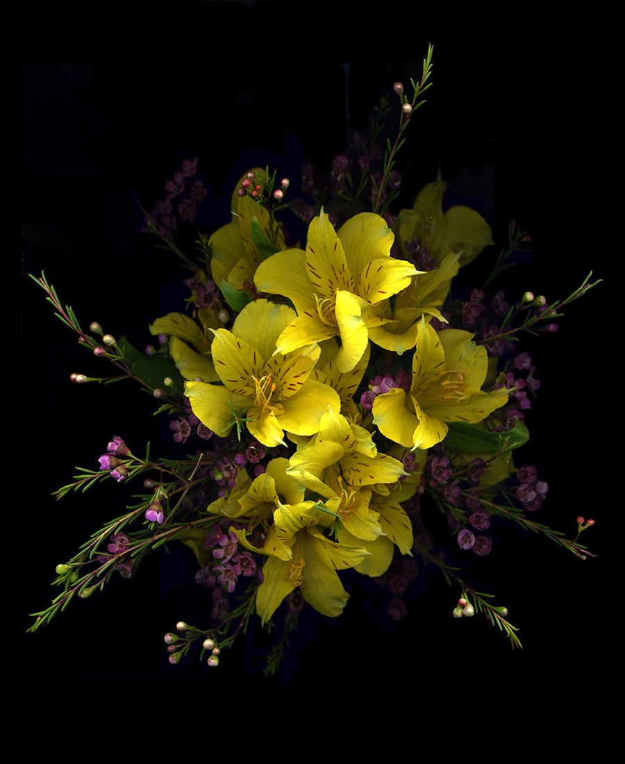 Yellow Alstromeria &Waxfl 